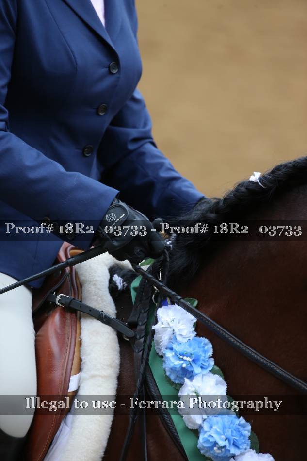 Proof 18R2_03733