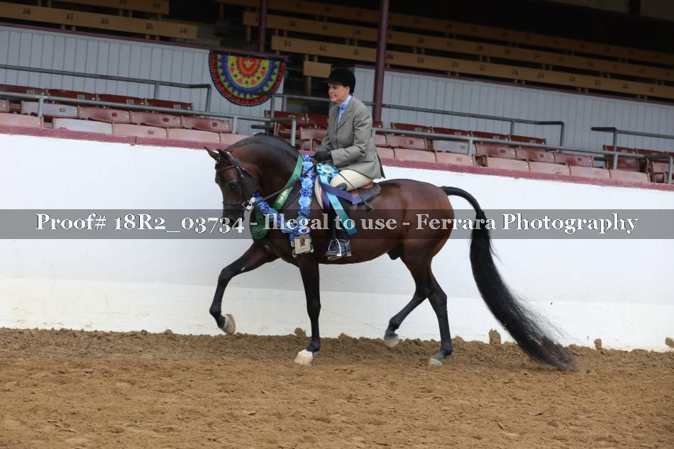 Proof 18R2_03734