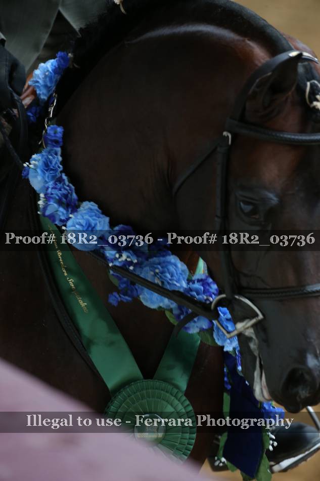 Proof 18R2_03736