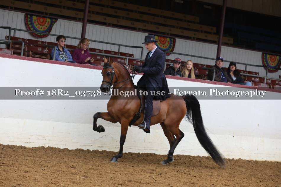 Proof 18R2_03738
