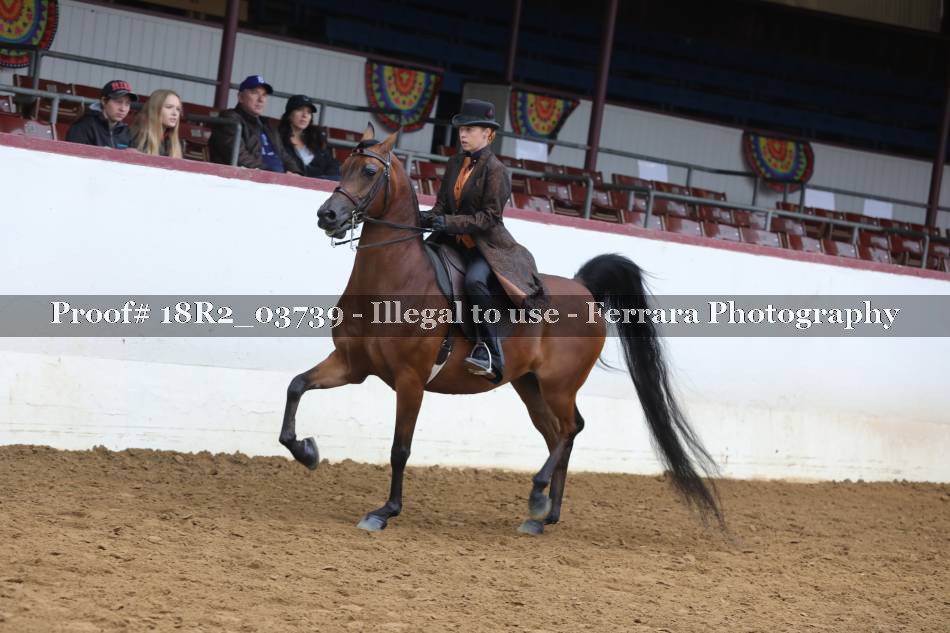 Proof 18R2_03739