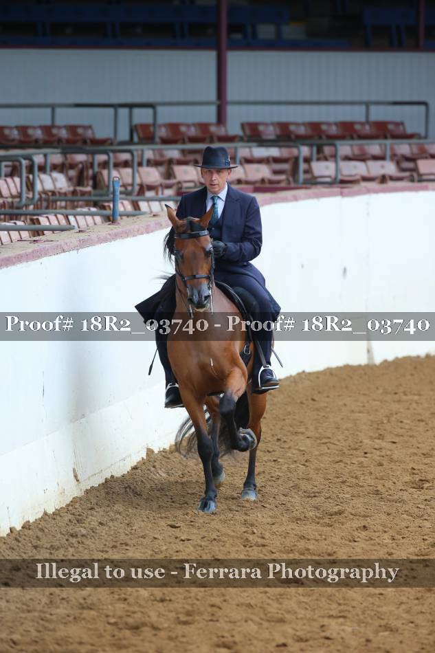 Proof 18R2_03740