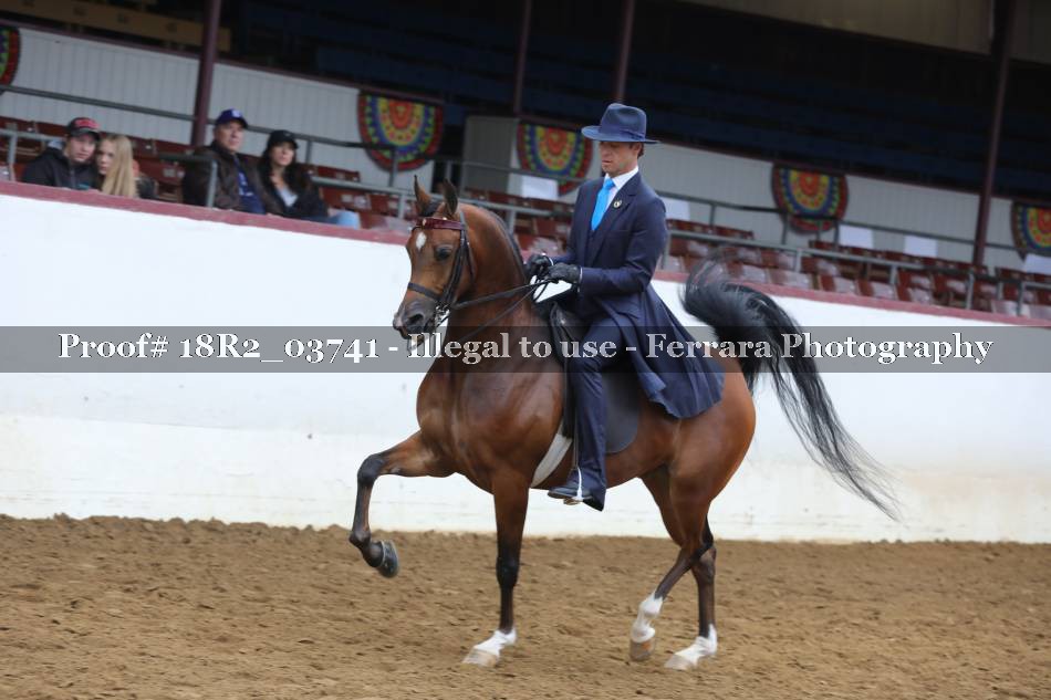 Proof 18R2_03741