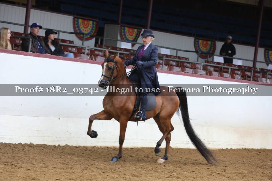 Proof 18R2_03742