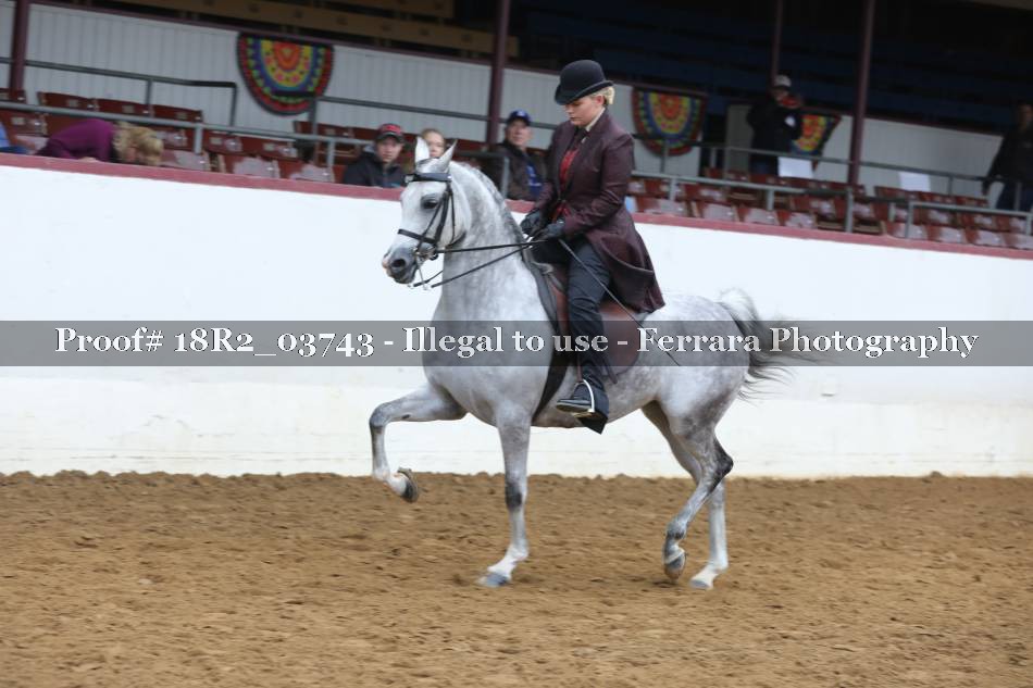 Proof 18R2_03743