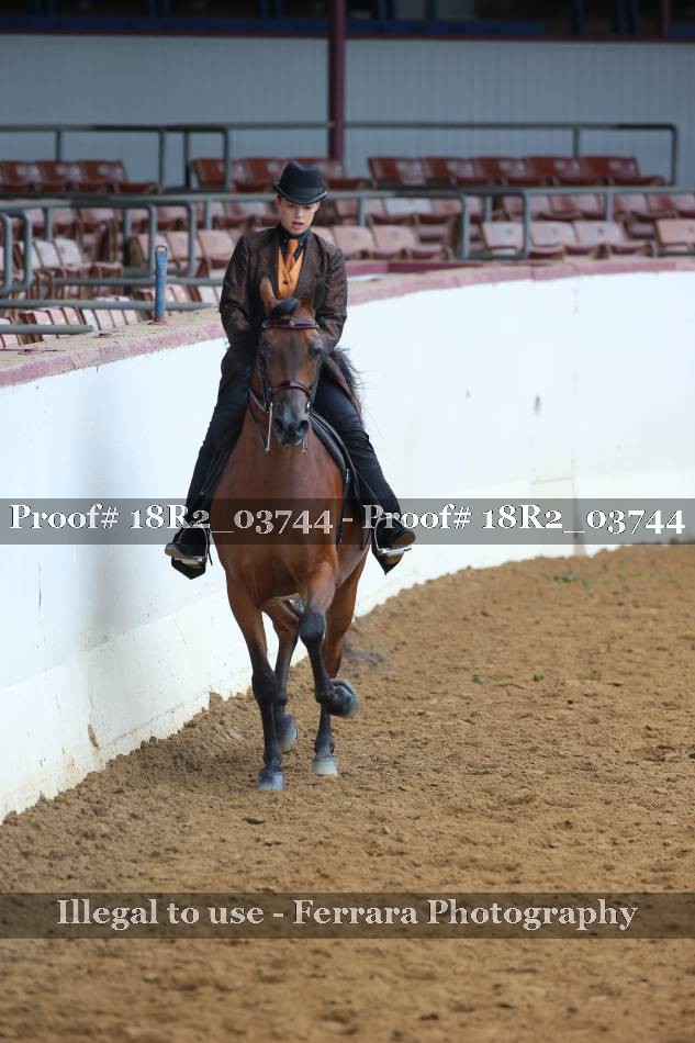 Proof 18R2_03744