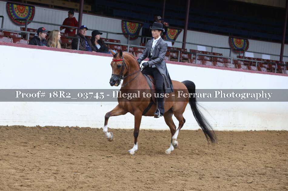 Proof 18R2_03745