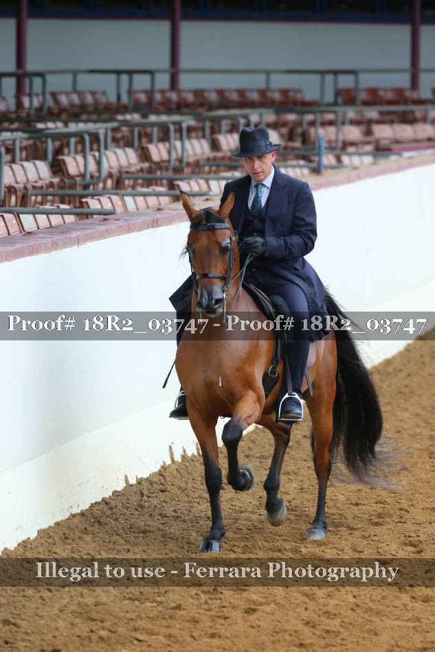 Proof 18R2_03747