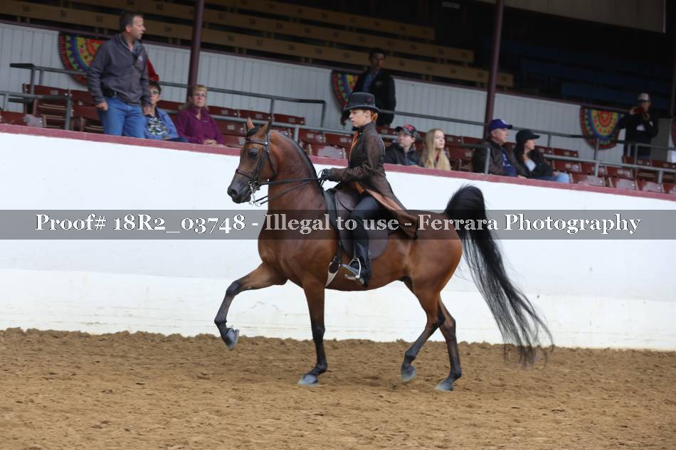 Proof 18R2_03748