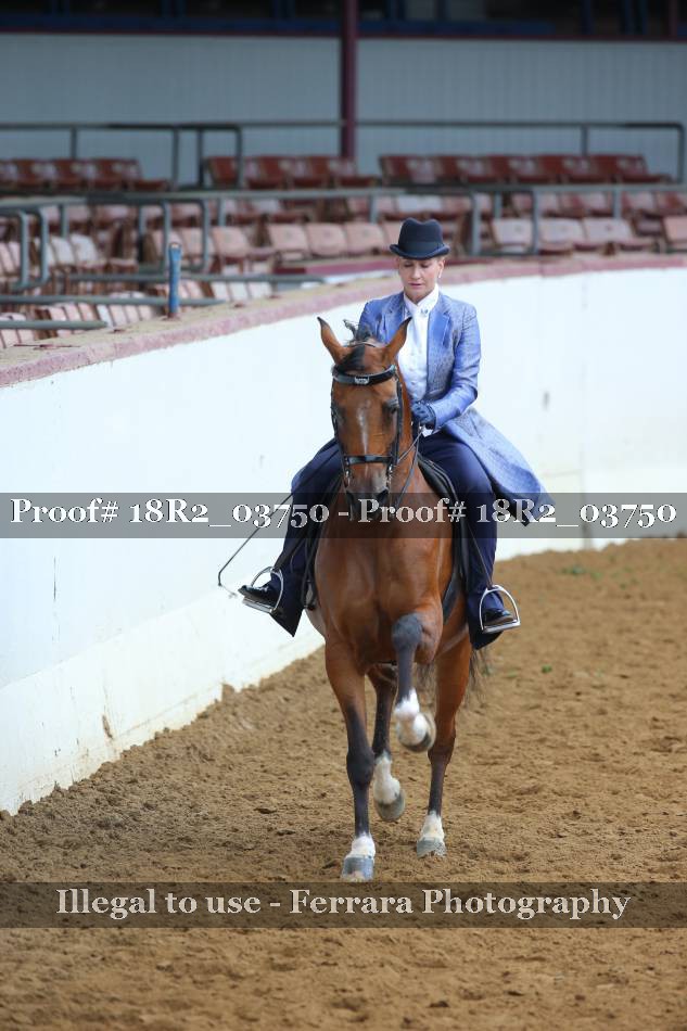 Proof 18R2_03750