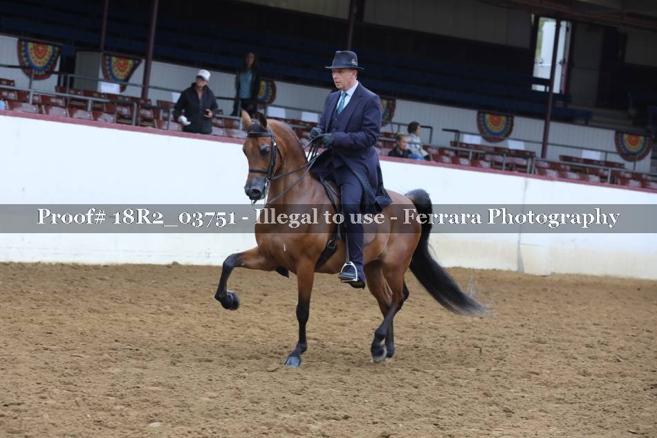 Proof 18R2_03751
