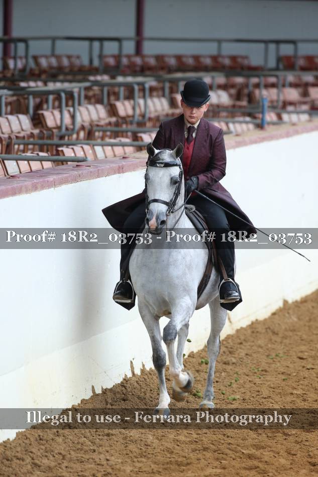 Proof 18R2_03753