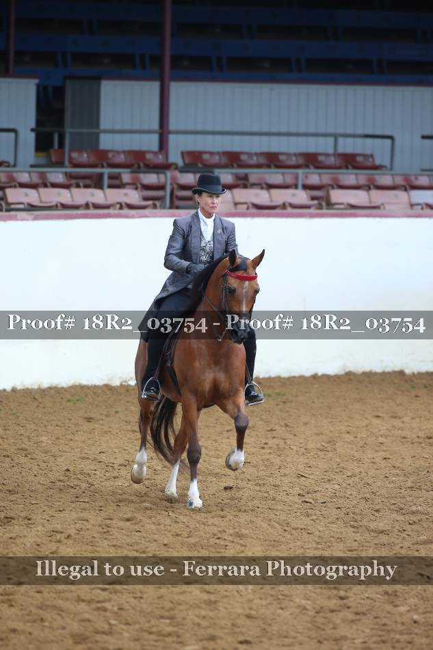 Proof 18R2_03754