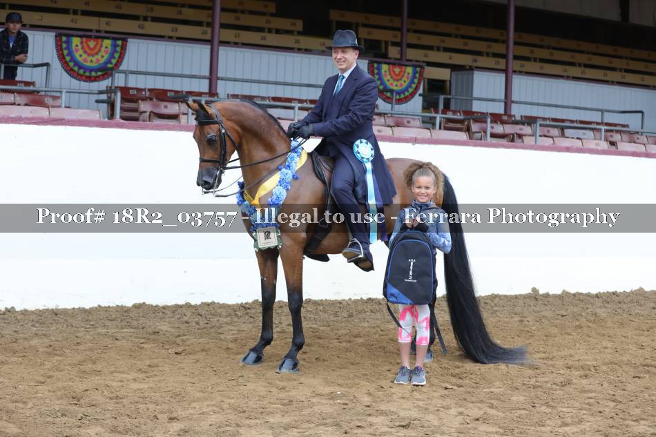Proof 18R2_03757