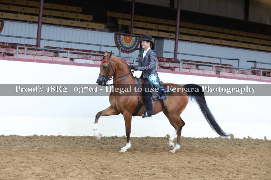 Proof 18R2_03761