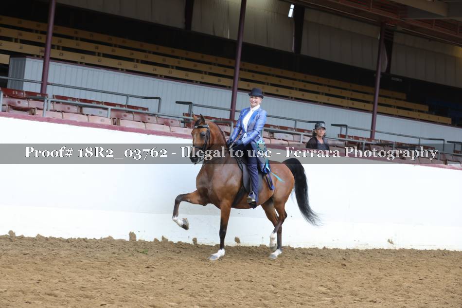Proof 18R2_03762