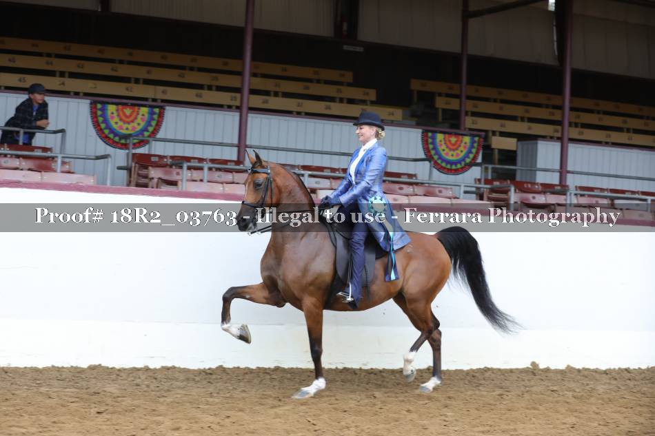 Proof 18R2_03763