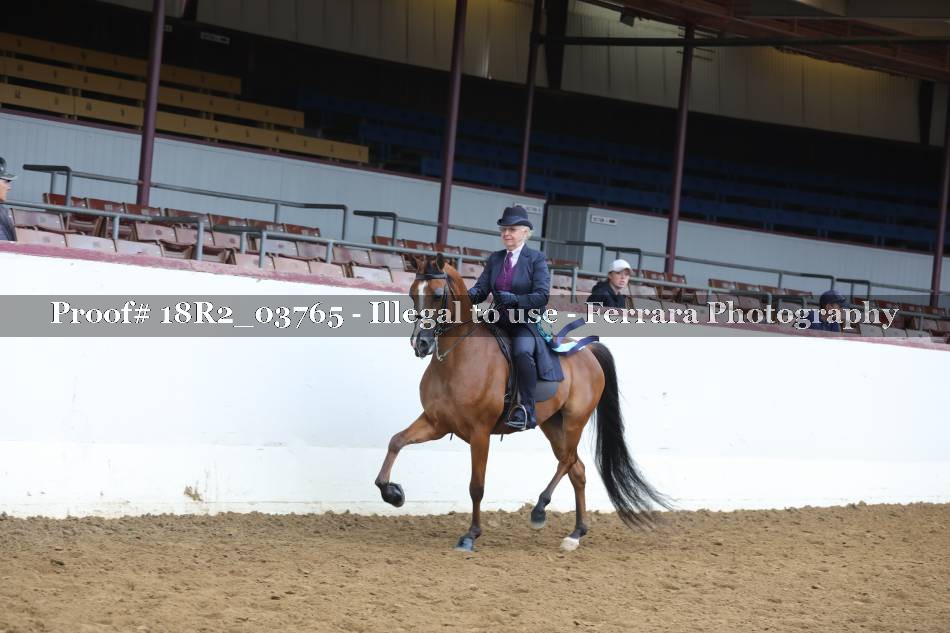 Proof 18R2_03765
