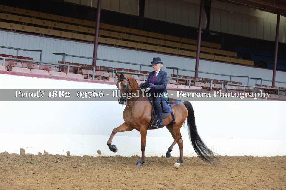 Proof 18R2_03766