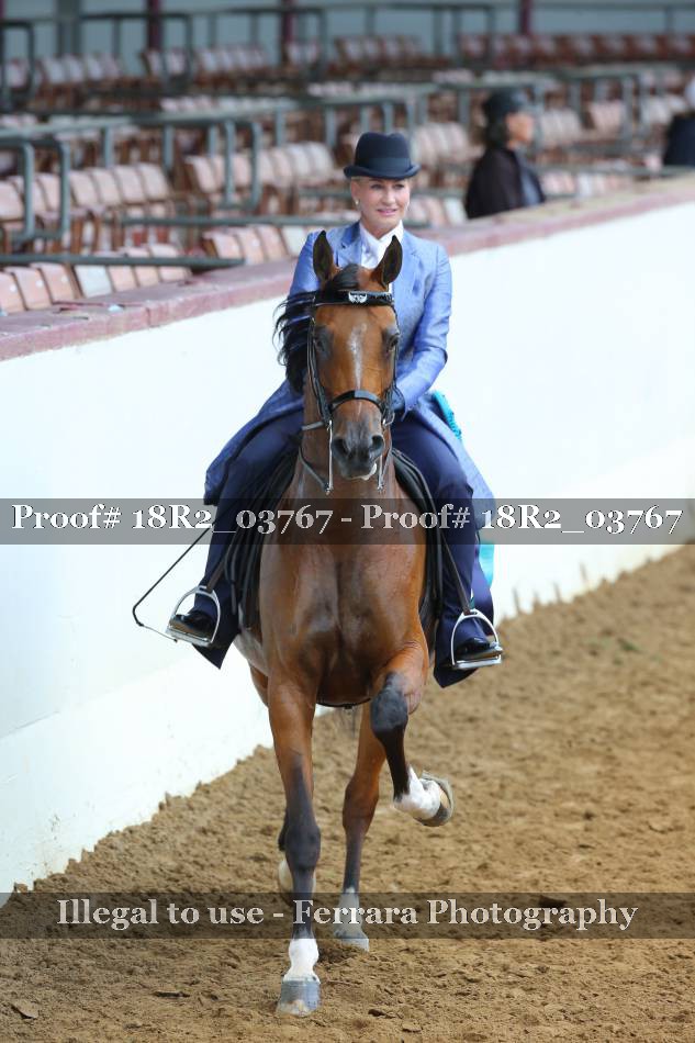 Proof 18R2_03767