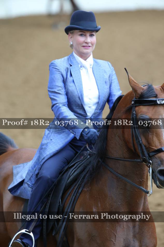 Proof 18R2_03768