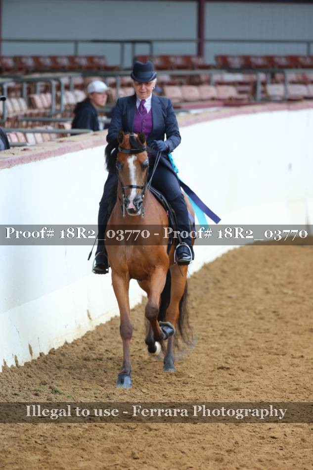 Proof 18R2_03770