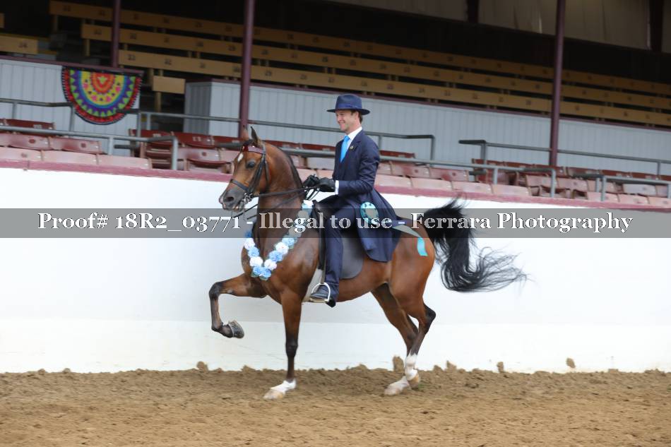 Proof 18R2_03771