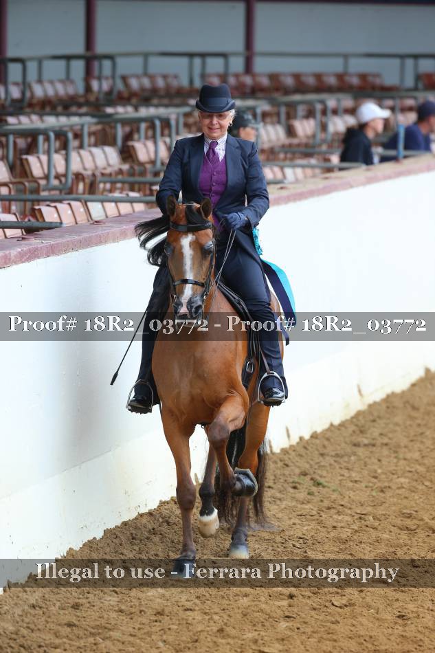 Proof 18R2_03772