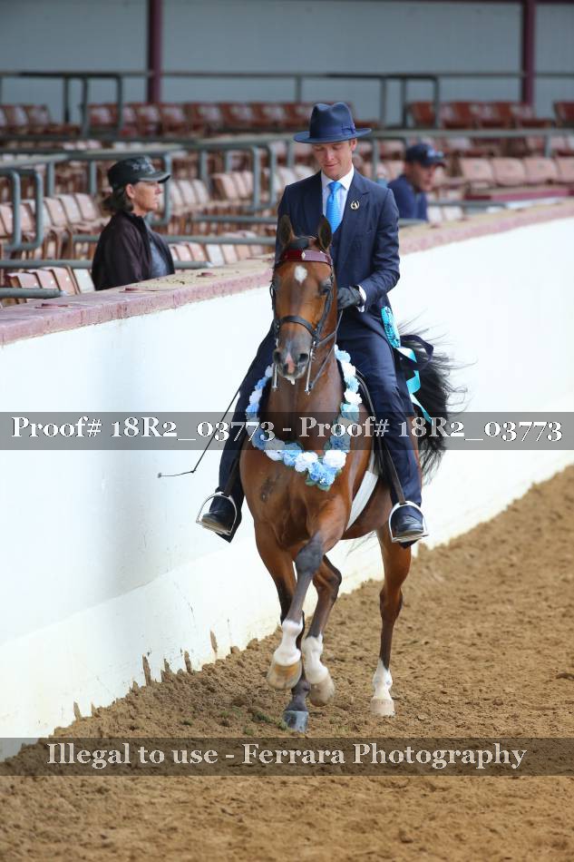 Proof 18R2_03773