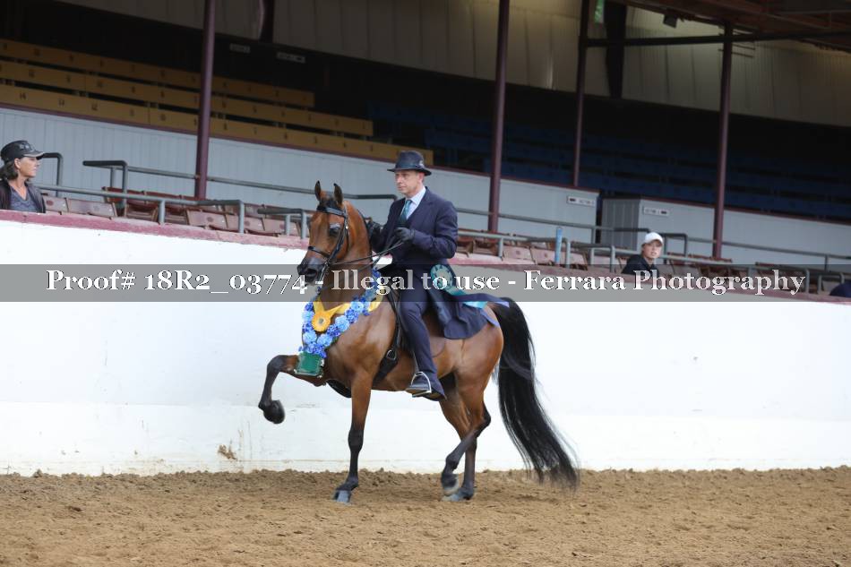 Proof 18R2_03774
