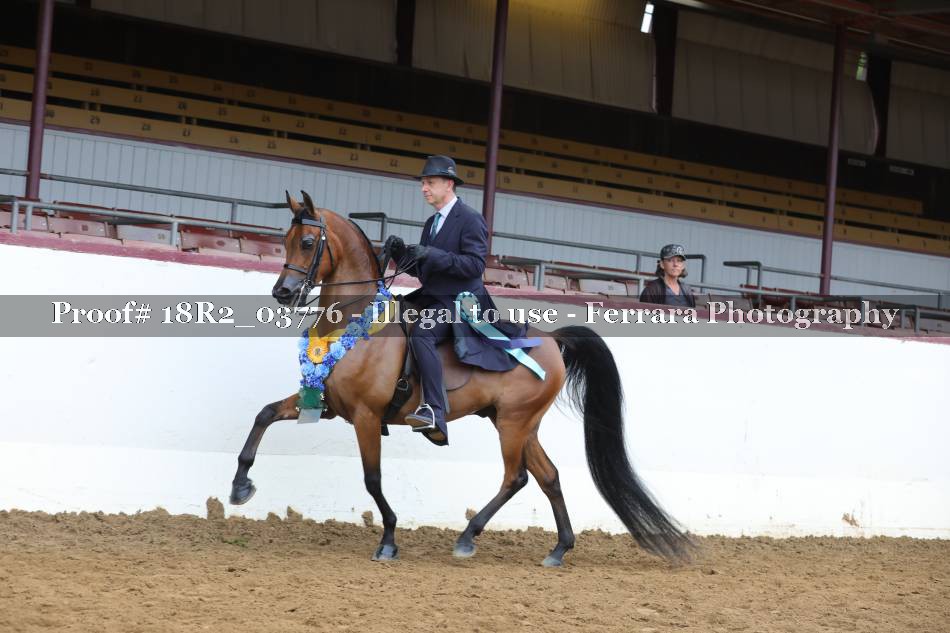 Proof 18R2_03776