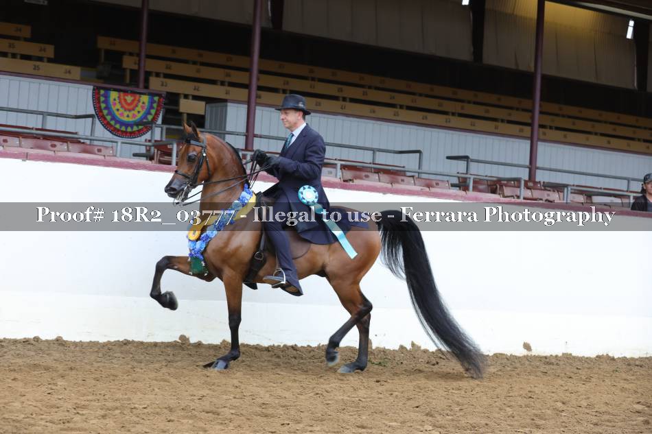 Proof 18R2_03777