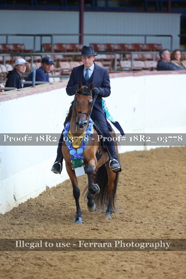 Proof 18R2_03778