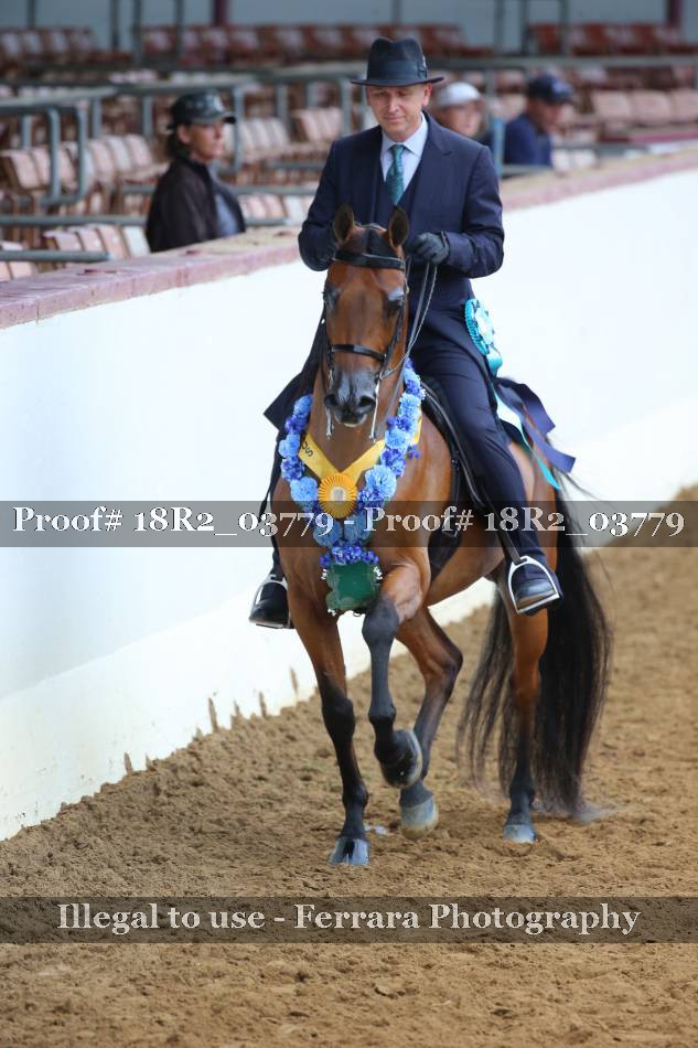 Proof 18R2_03779