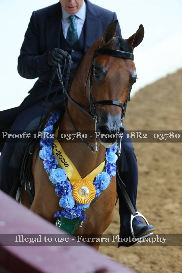 Proof 18R2_03780