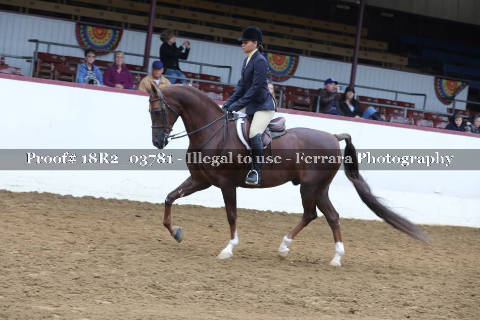 Proof 18R2_03781