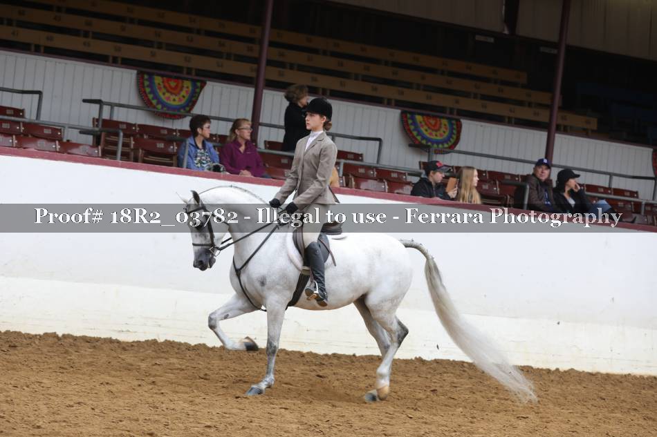 Proof 18R2_03782
