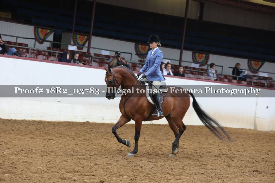 Proof 18R2_03783