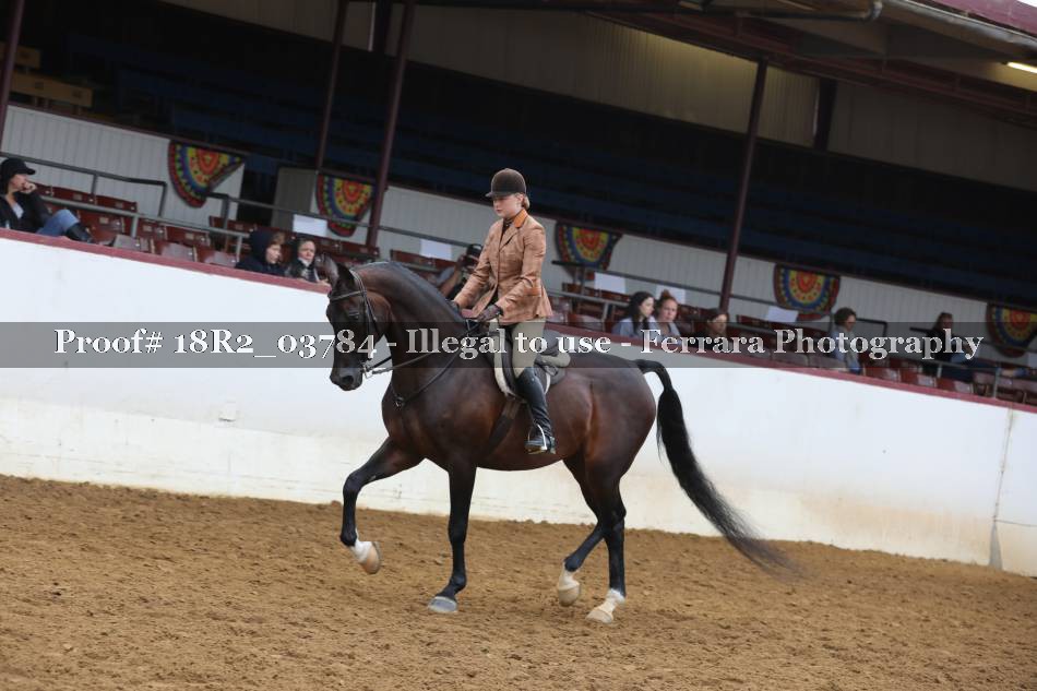Proof 18R2_03784