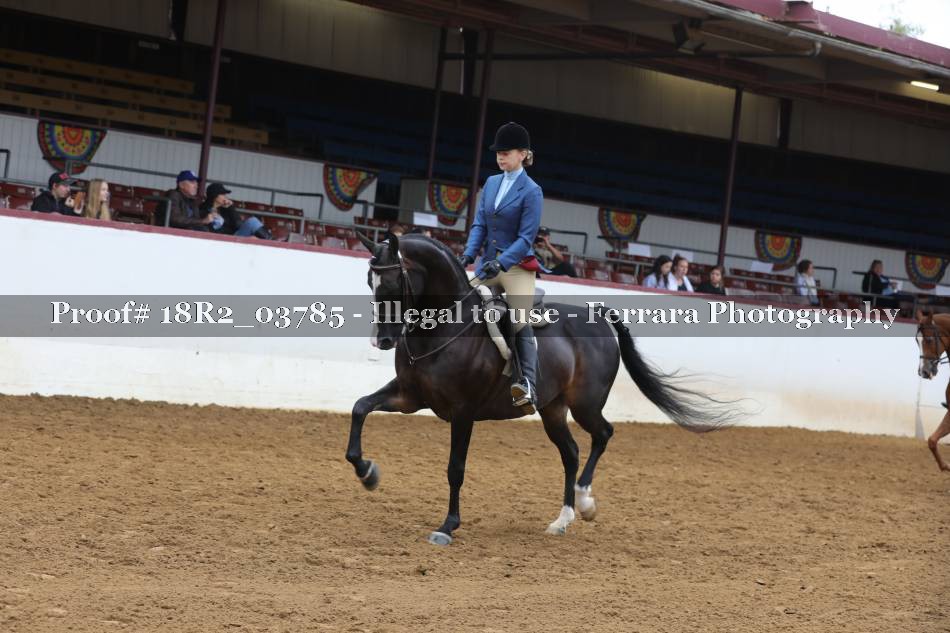 Proof 18R2_03785