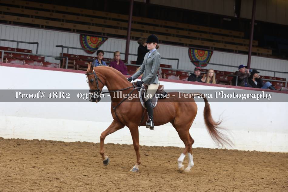 Proof 18R2_03786