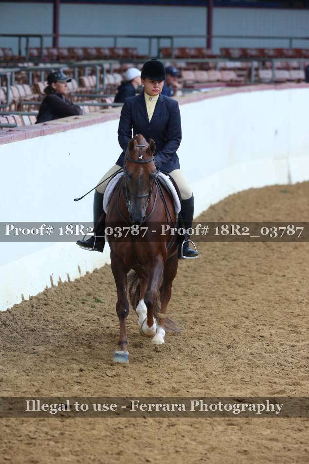 Proof 18R2_03787