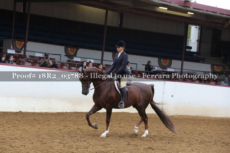 Proof 18R2_03788