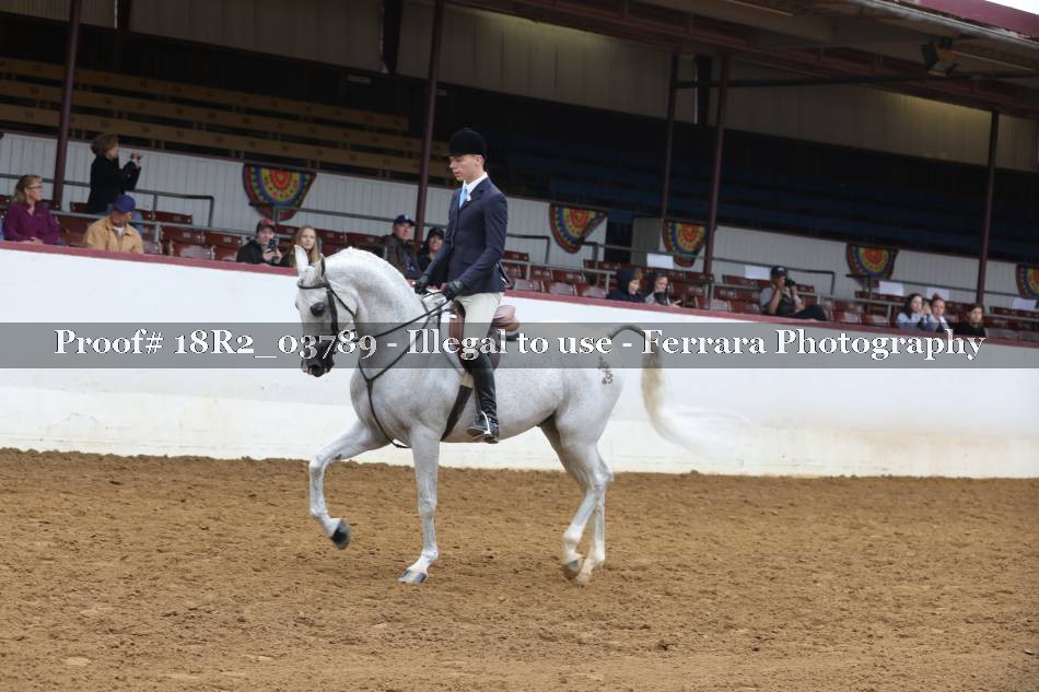 Proof 18R2_03789