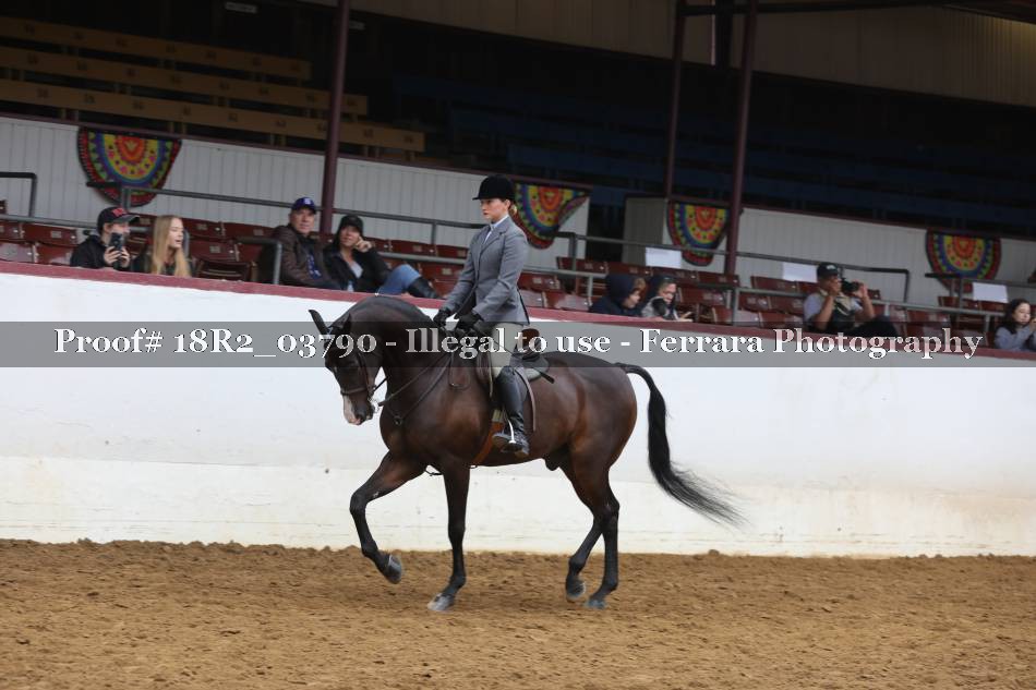 Proof 18R2_03790