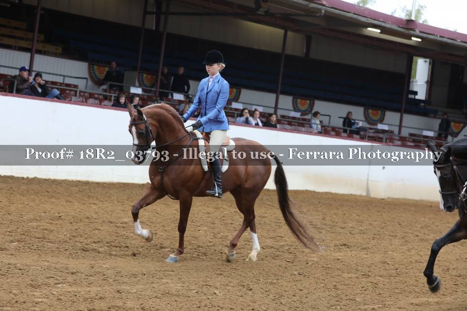 Proof 18R2_03793
