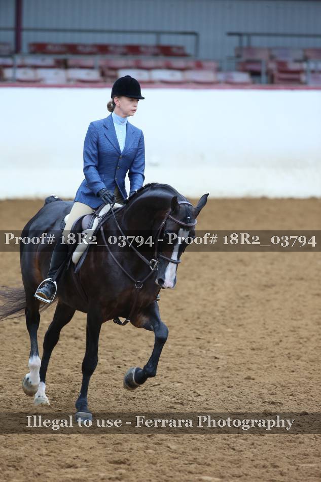Proof 18R2_03794