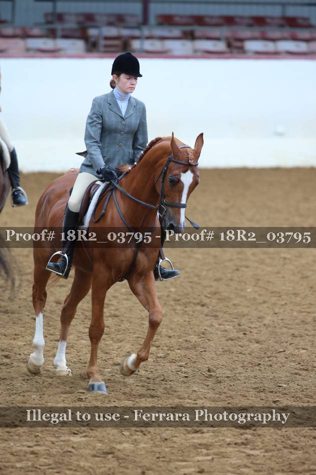 Proof 18R2_03795