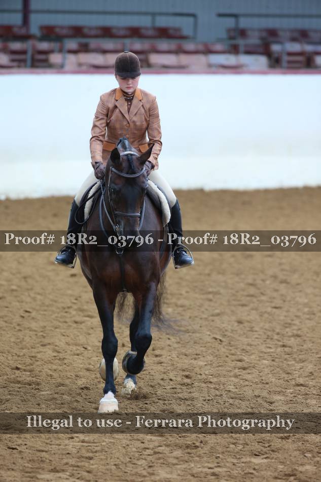 Proof 18R2_03796