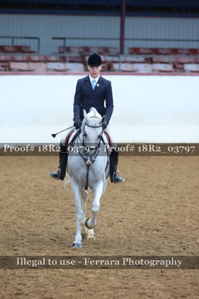Proof 18R2_03797